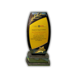 award 8